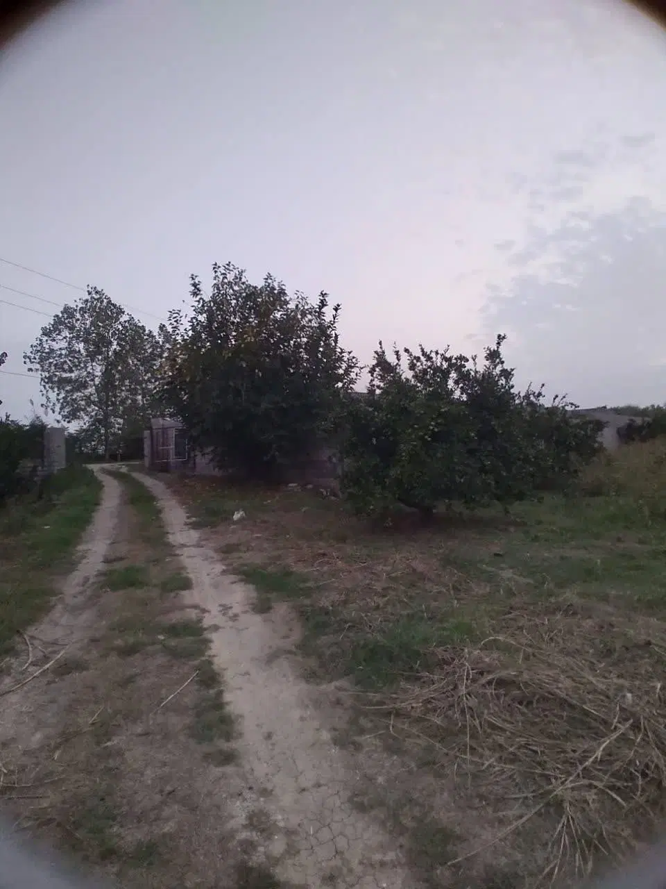 فروش زمین باغی