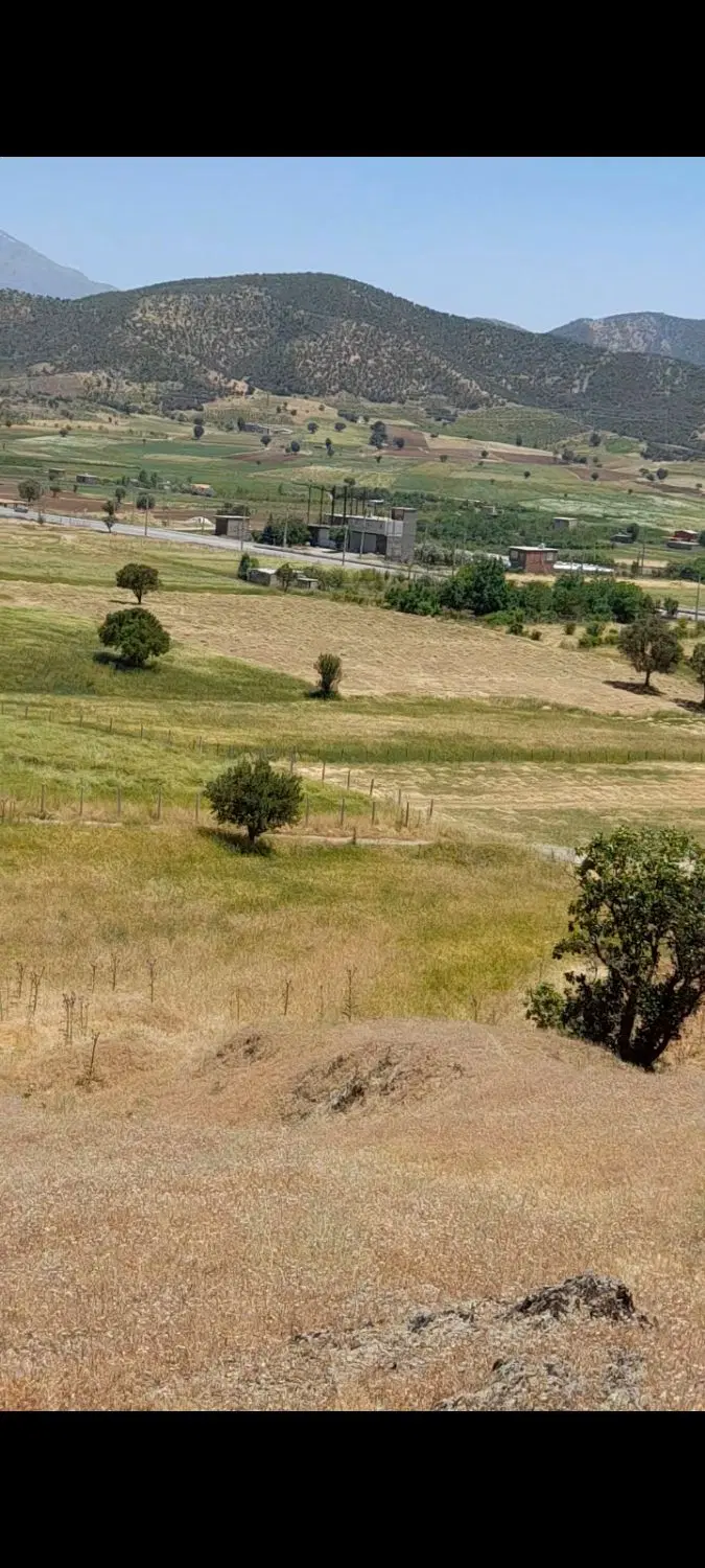 زمین مسکونی