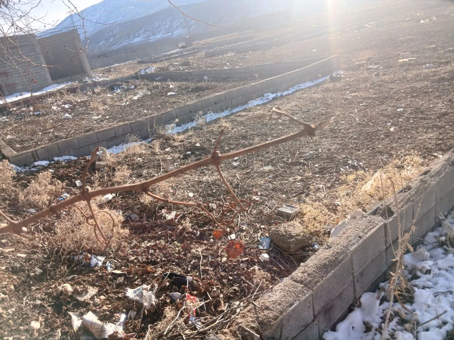 فروش زمین مادوان