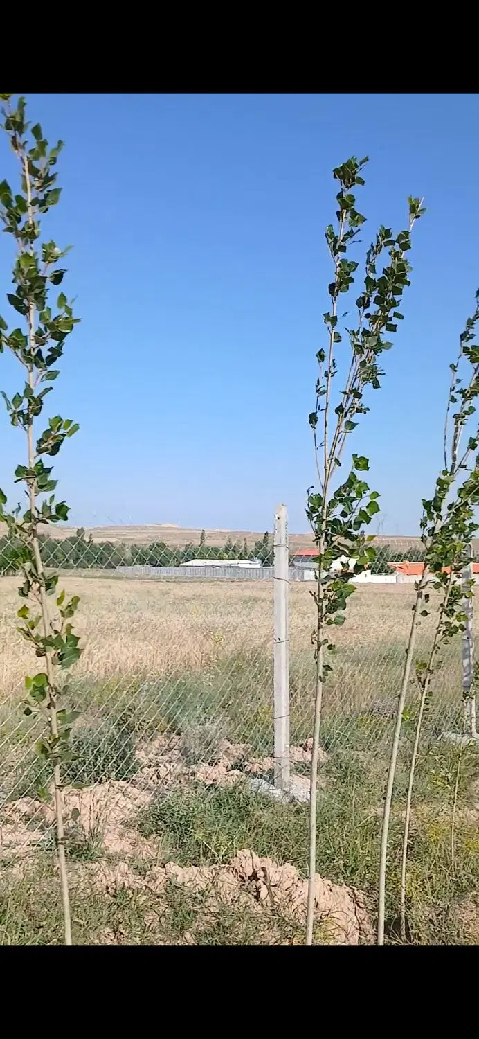 باغ در گرده نمین معاوضه با ماشین