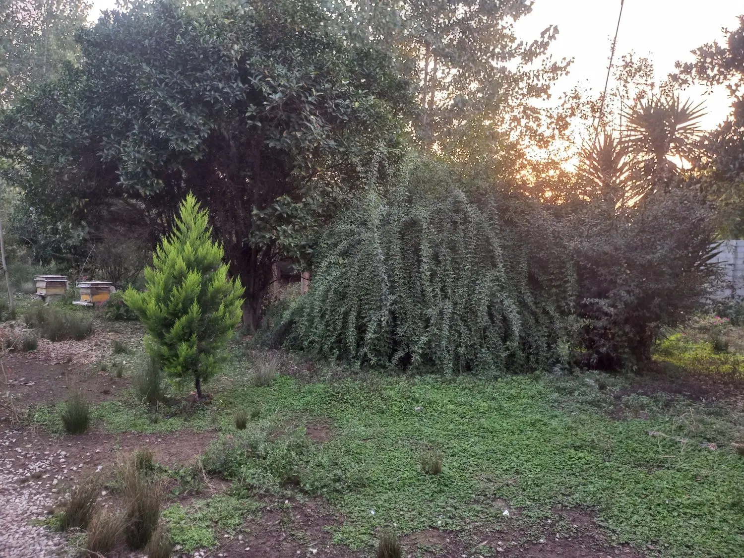 ۲۳۷۰ متر زمین مسکونی با ویلای ۱۰۰ متری.سند تکبرگ