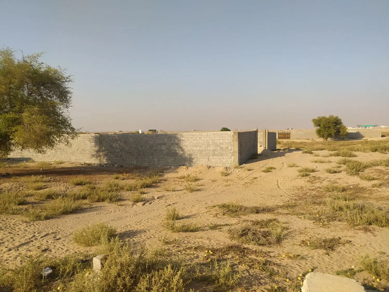 زمین