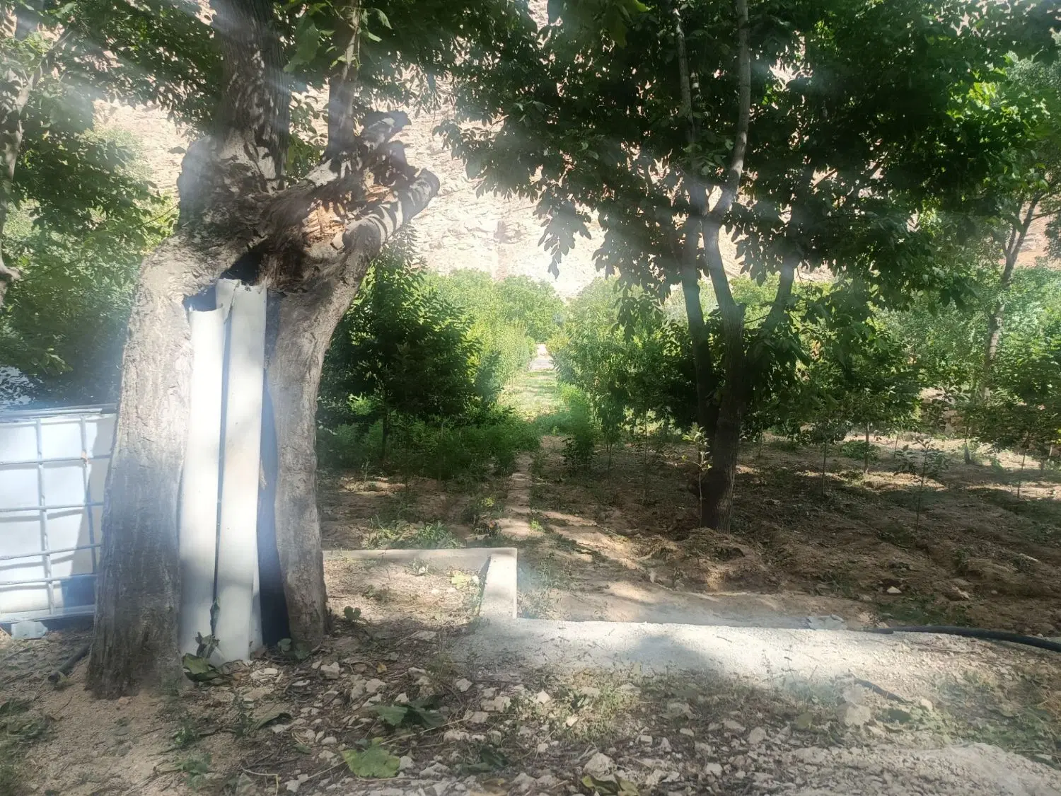باغ ۲۲۰۰متری اخلمد