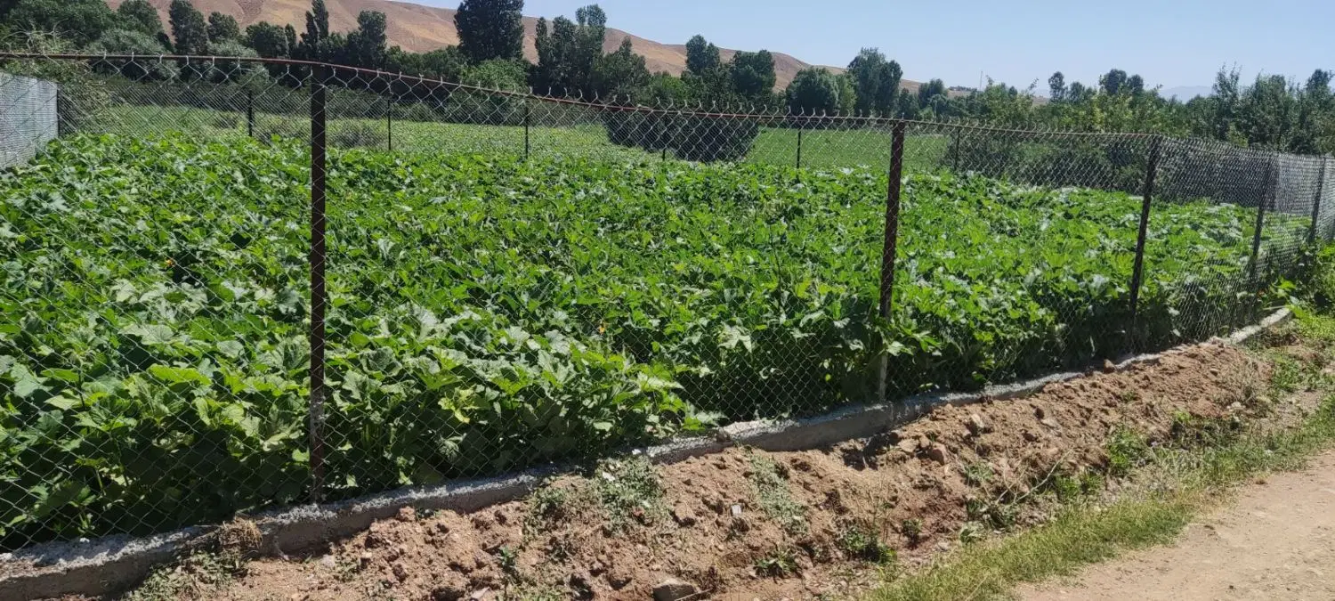 فروش دو قطعه زمین زراعی