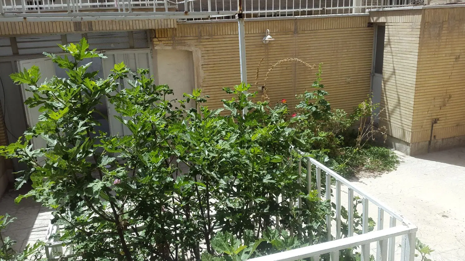 فروش خانه ویلایی خیابان خیام