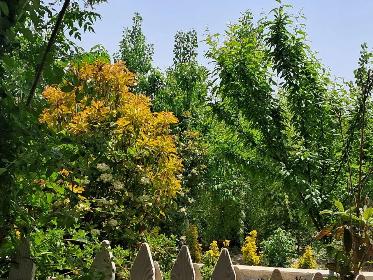 زمین ۱۴۰۰ متر دارای سند شش دانگ