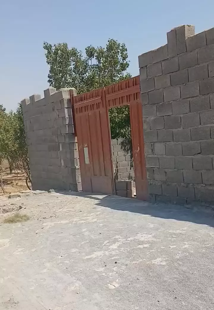 باغ نقلی