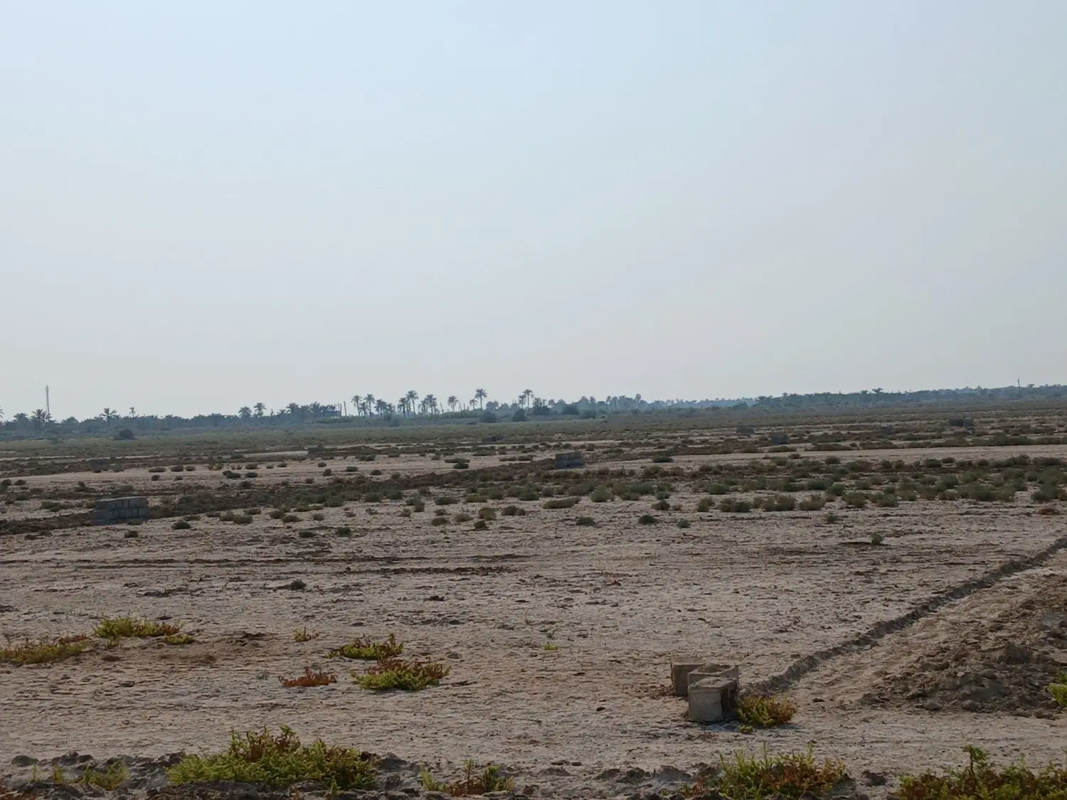 فروش زمین