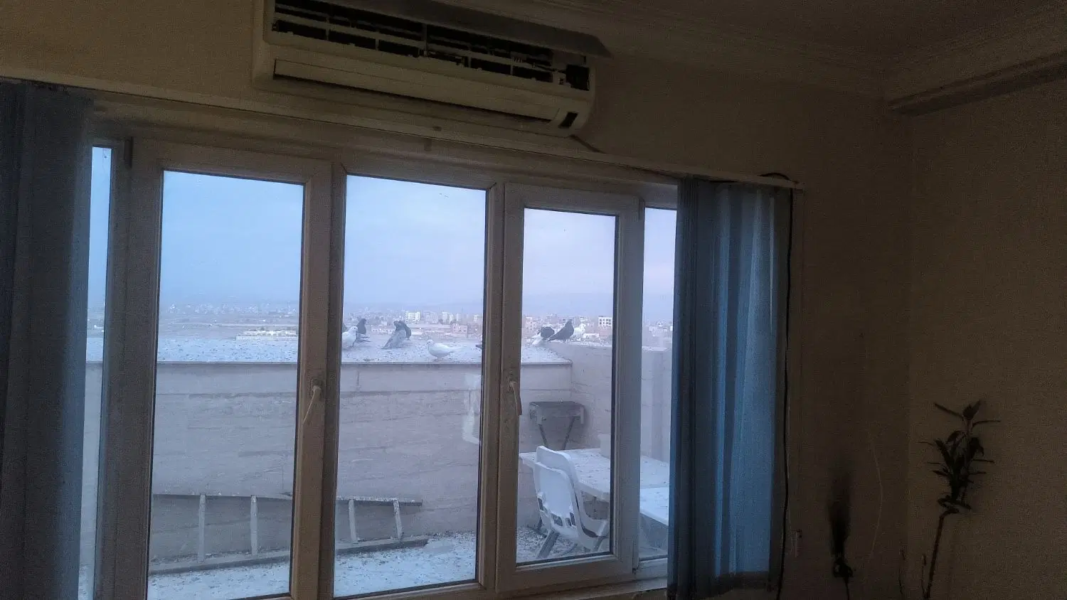 ملک کلنگی پیروزی