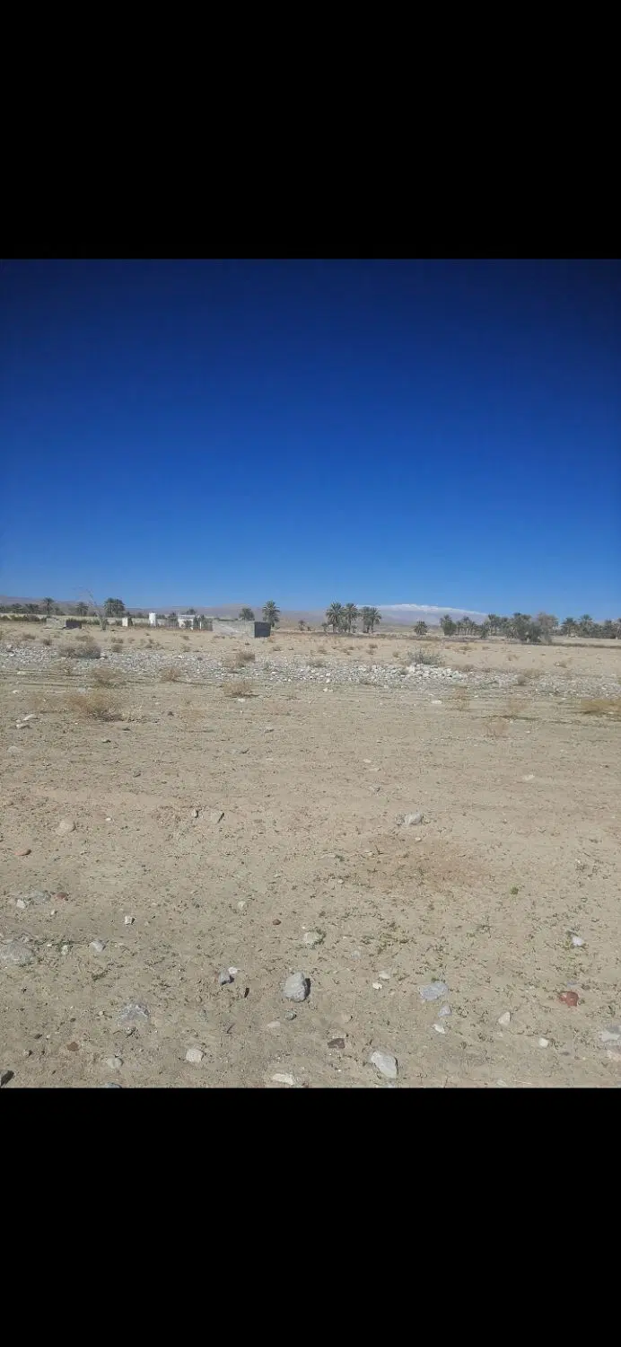 زمین کشاورزی صغات