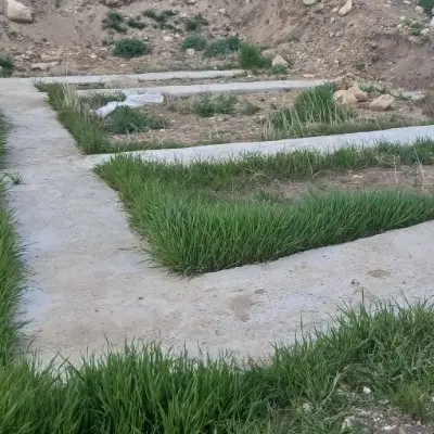زمین مسکونی