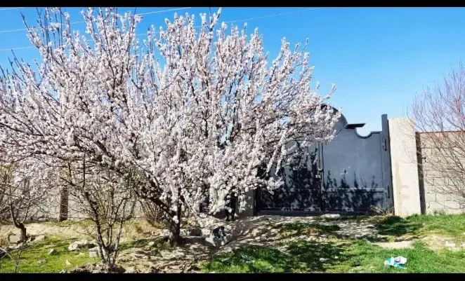 ۵۰۰متردوکله شهرکی آب برق گاز۴دیواری معاوضه باخودرو
