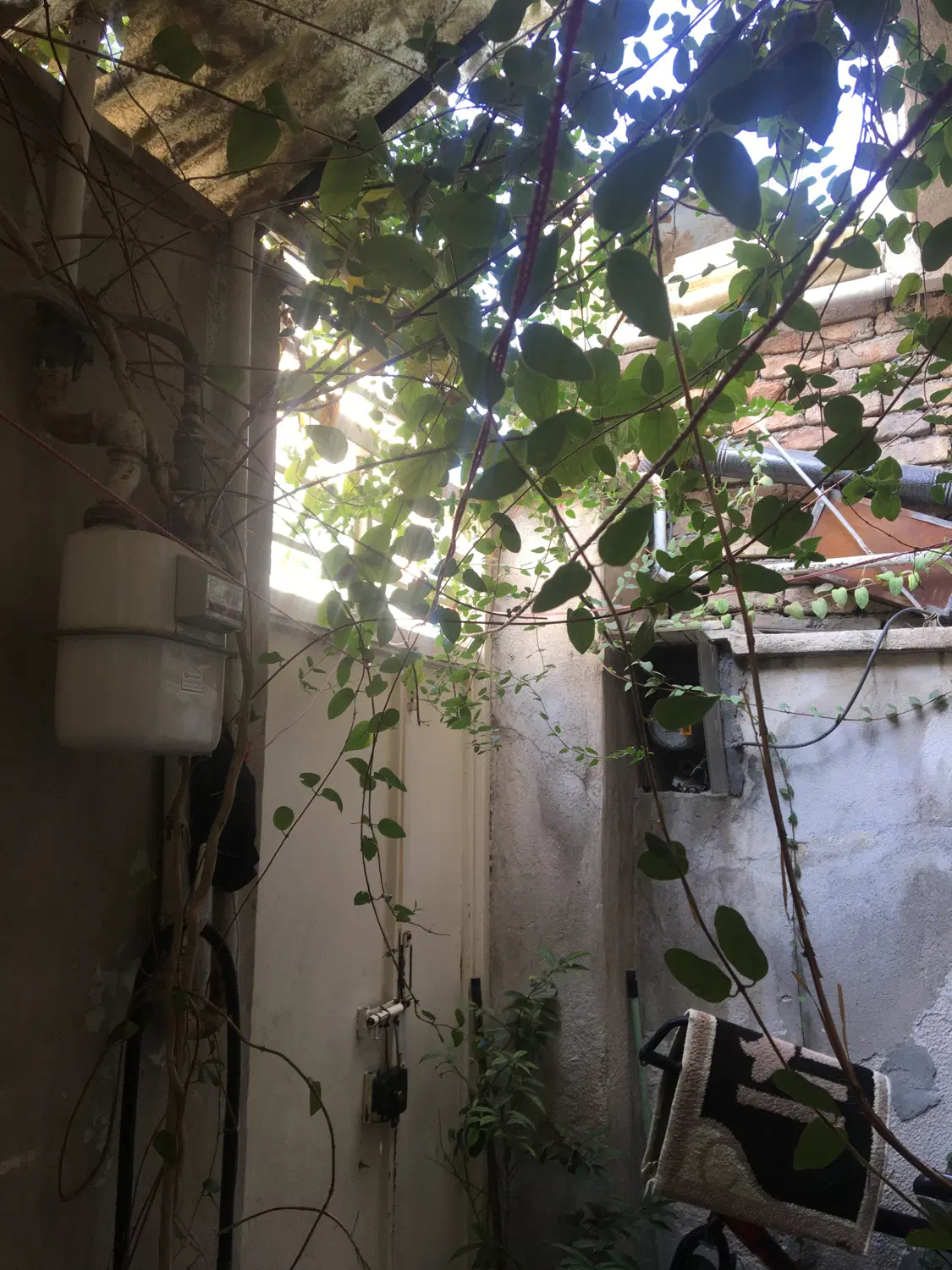 دو واحد جدا از هم در دو طبق مستقل