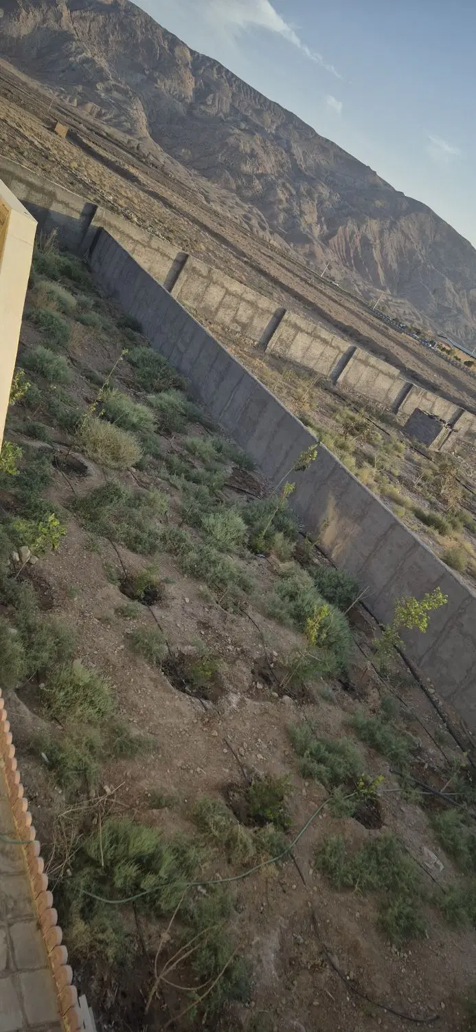 باغ به متراژ ۲ هزار