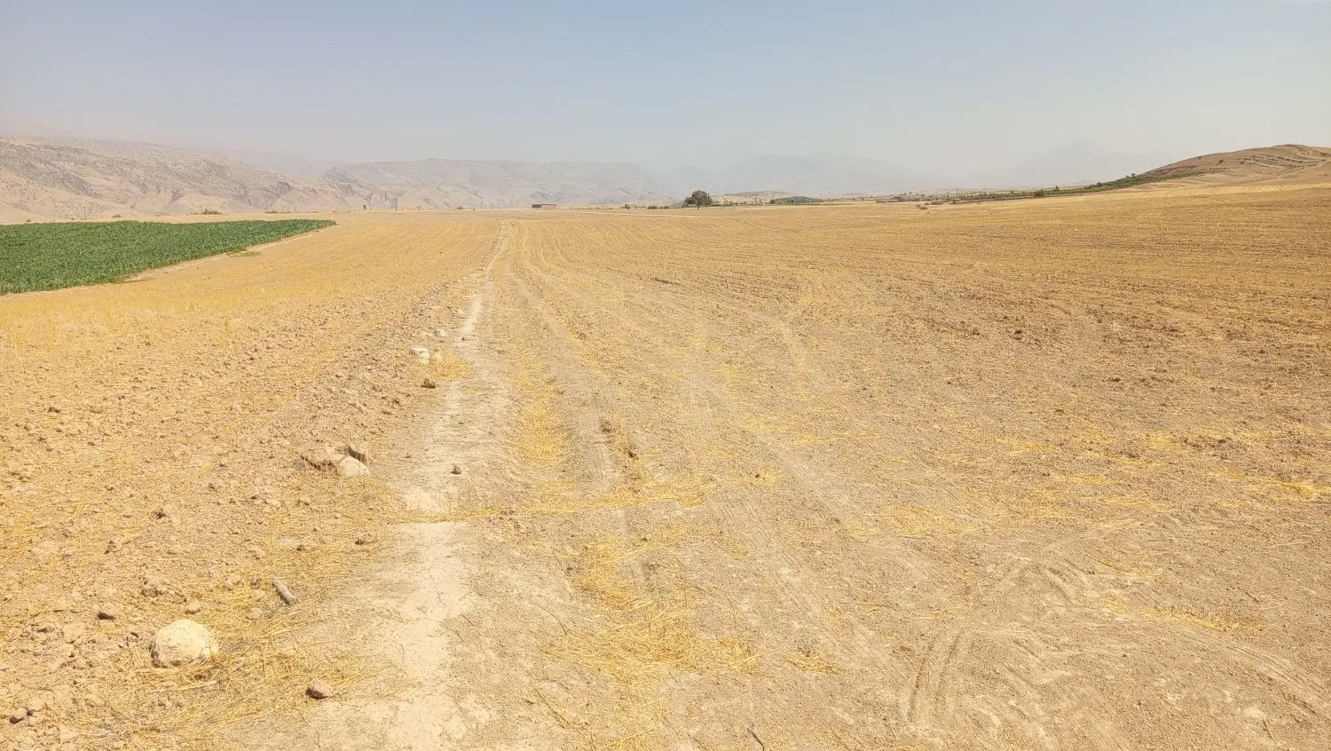 زمین یاسوج برای معاوضه