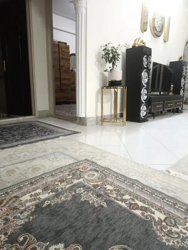 همخانه خانم