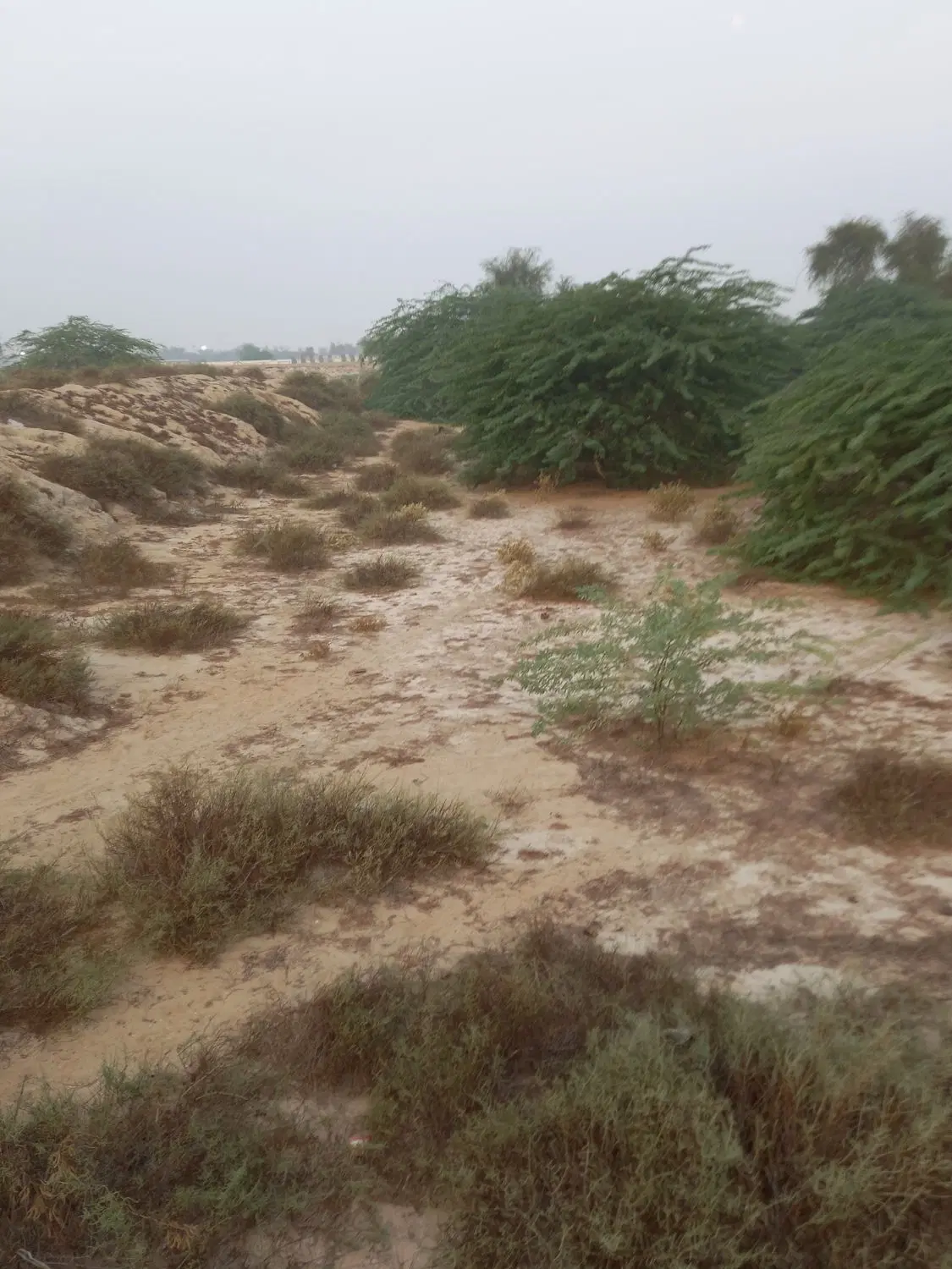 زمین فروشی