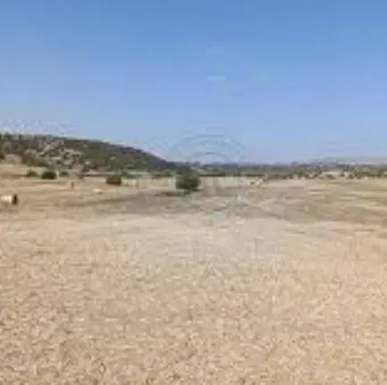 زمین مسکونی