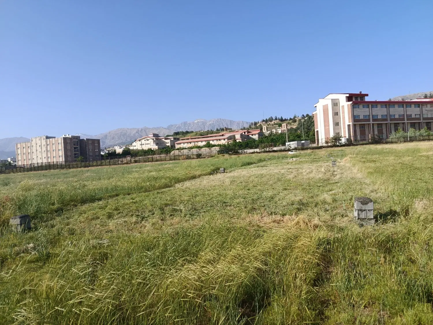 زمین زیر دانشگاه دولتی روی خیابان ۲۰ متری