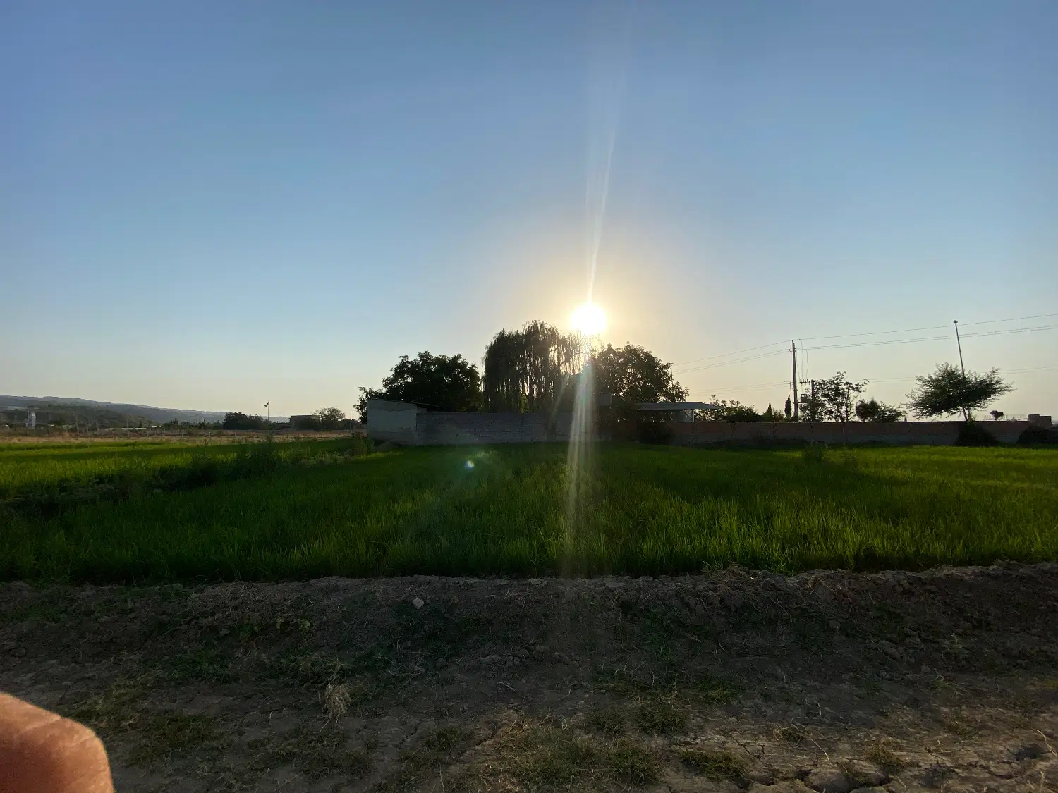 زمین کشاورزی