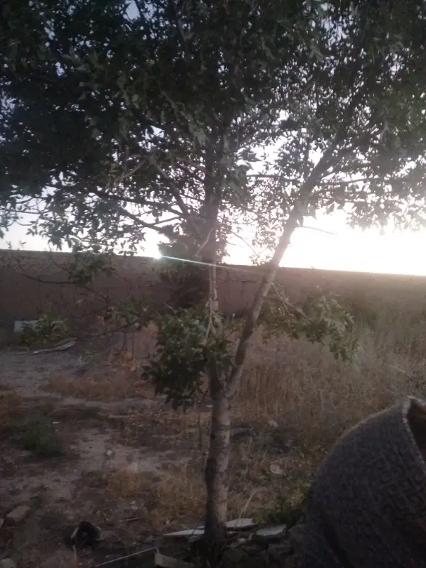 ویلایی حاشیه