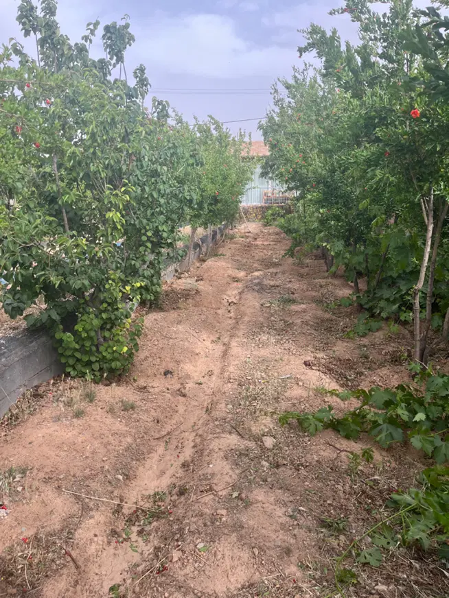 باغ ویلا