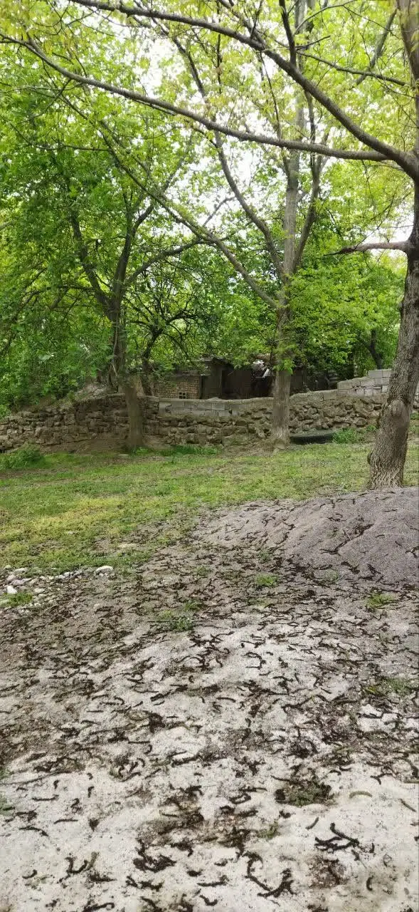 زمین ییلاقی سوادکوه