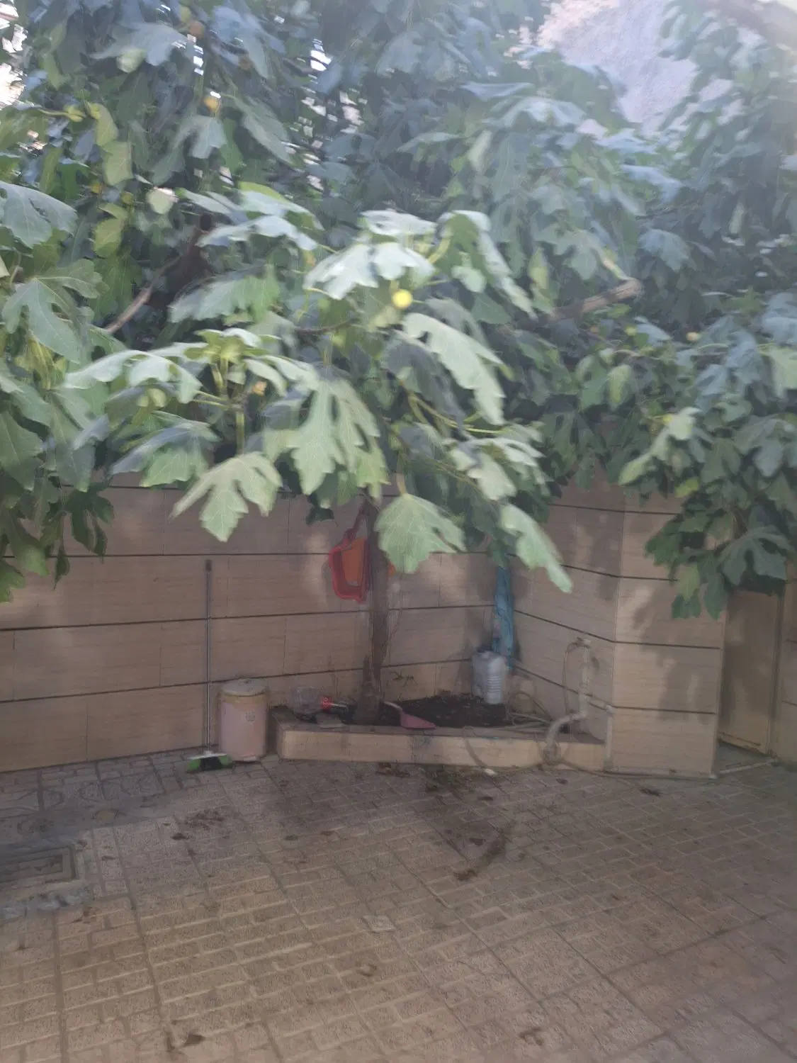 آپارتمان فروشی