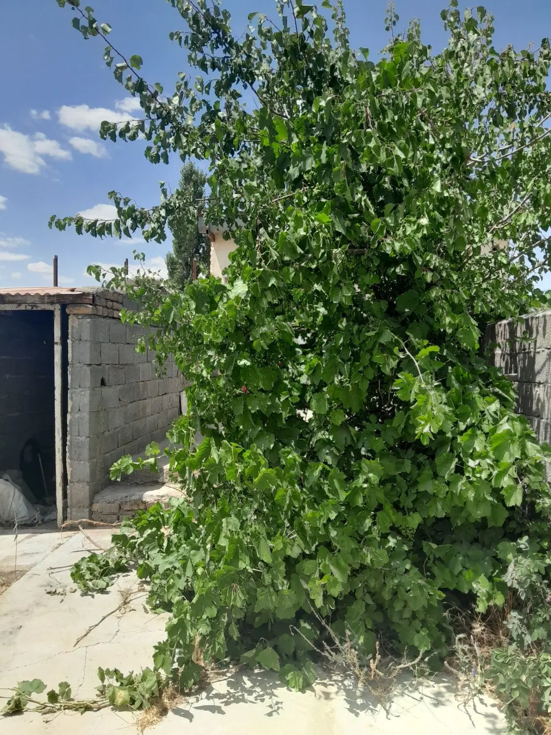 فروش خانه ویلایی 70 متری زنجان شهرستان خدا بنده