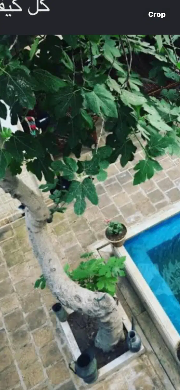۹۵ متری سمت راست کوی شهدا،