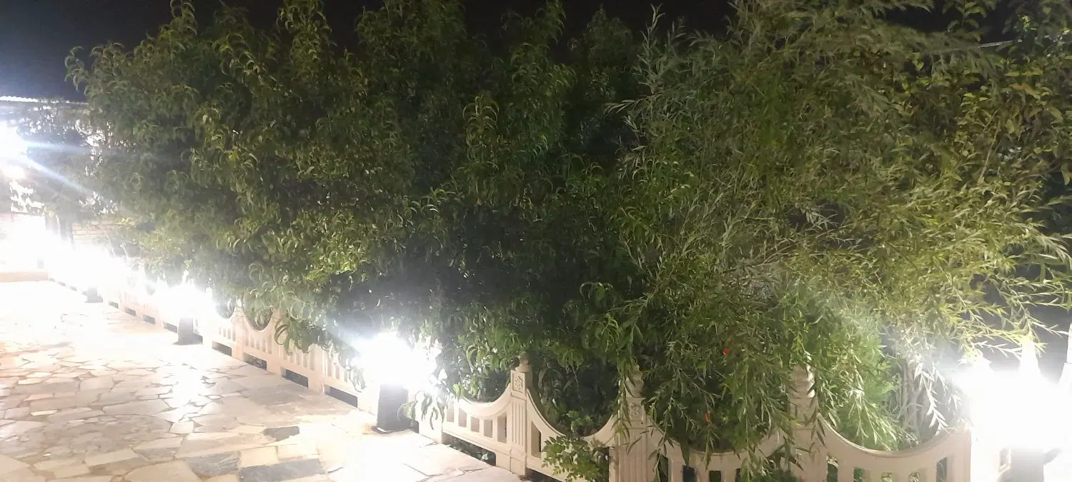 باغ دورهمی مخصوص خانواده