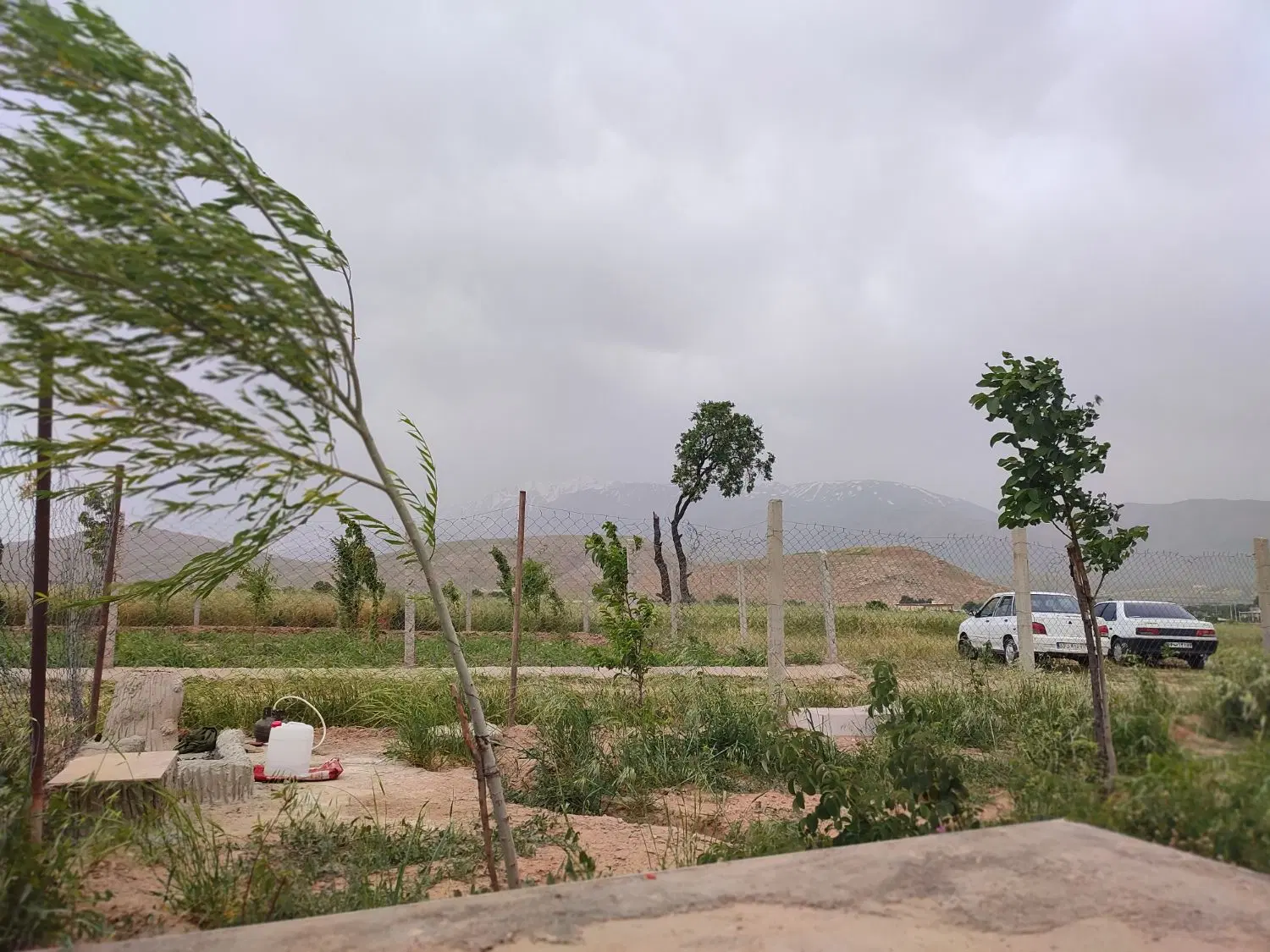 با سلام فروش باغ در روستای ترشاب به فروش می رود