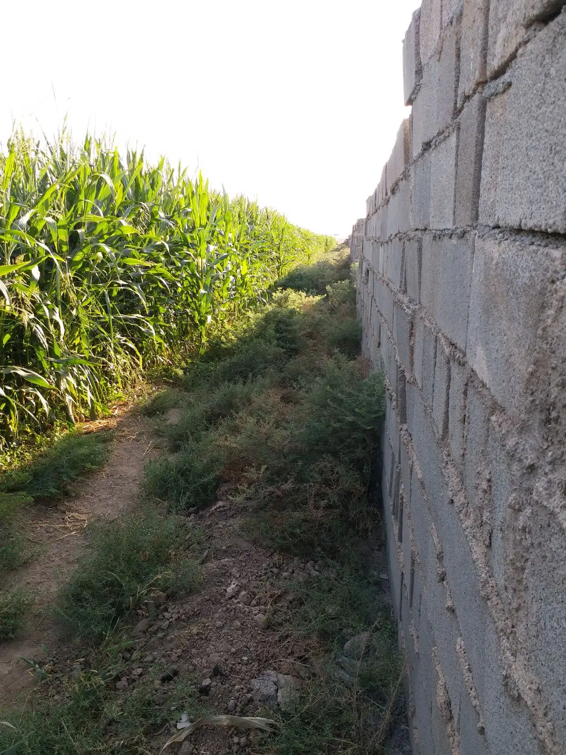 ۱۰ هزار متر زمین کشاورزی با سهمیه آب در ورامین