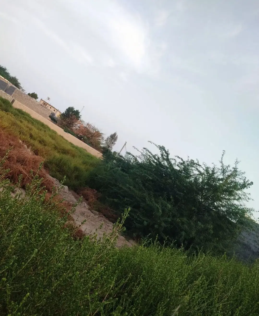 فروش زمین ۲۶۴ متری باغو
