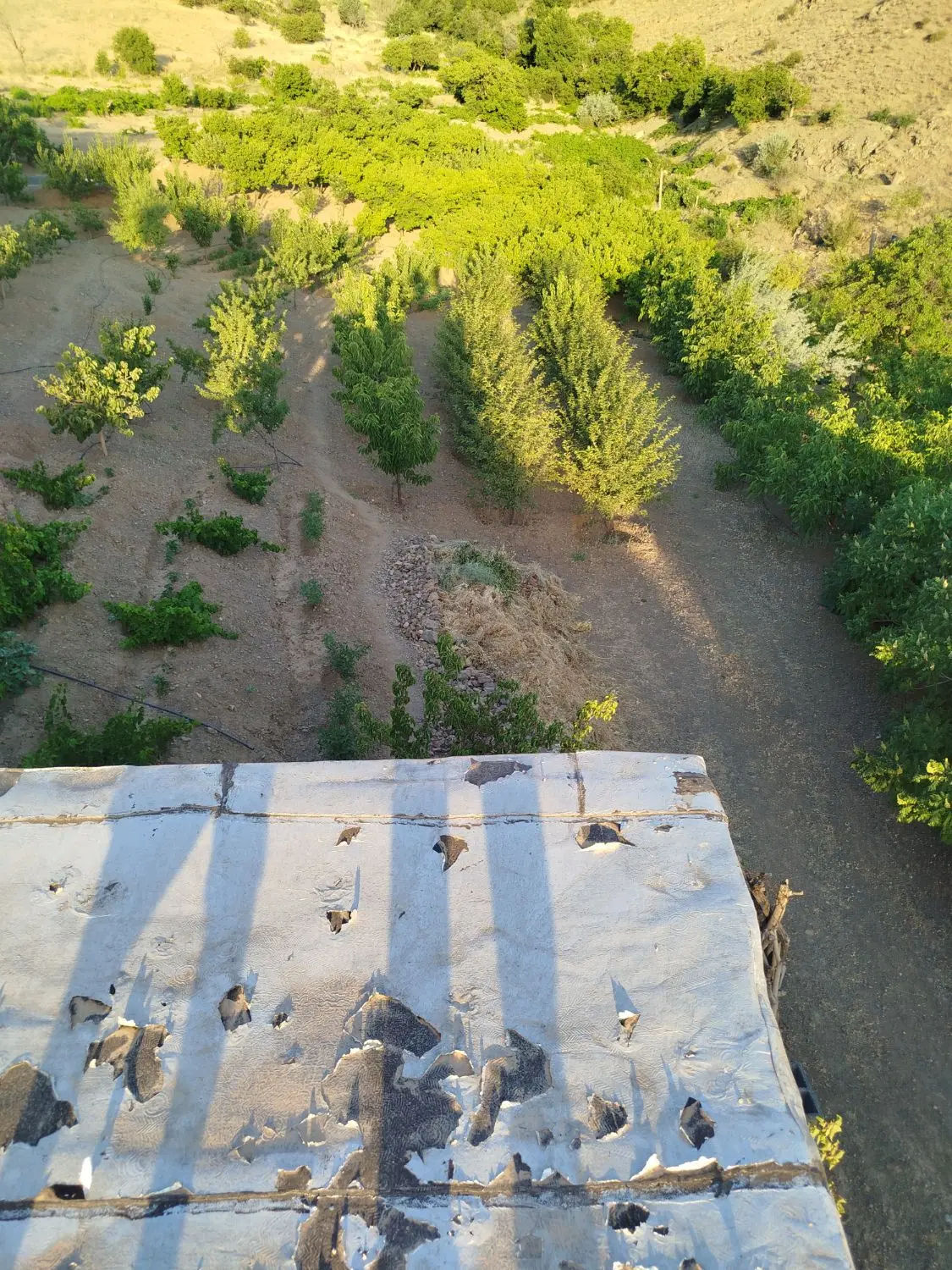 زمین کشاورزی