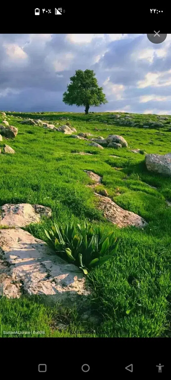 زمین طرح مادران 250