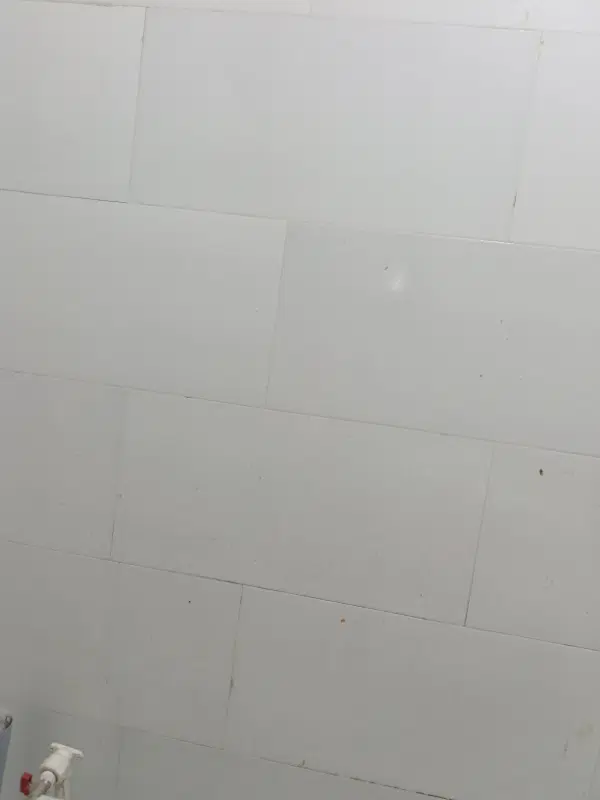 خانه خ جلب سیاهان یاایرج افشار3 سردونبش