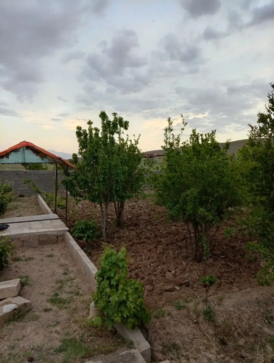 باغ  زیبا در کسکن