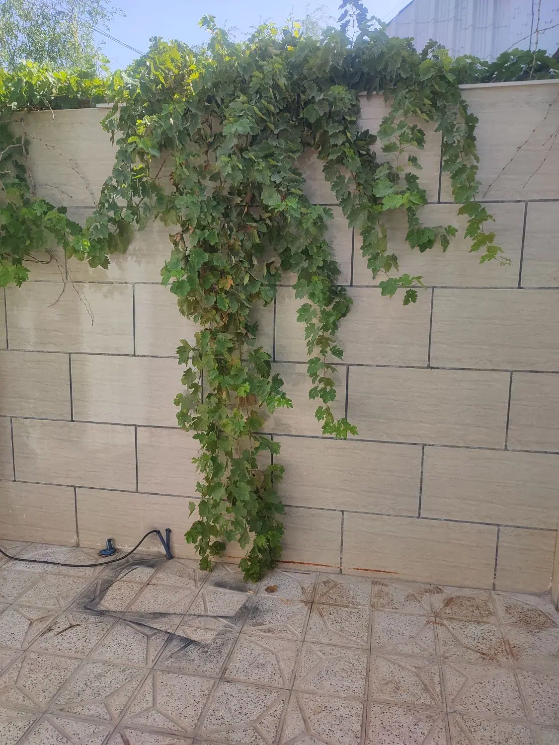 منزل ویلایی