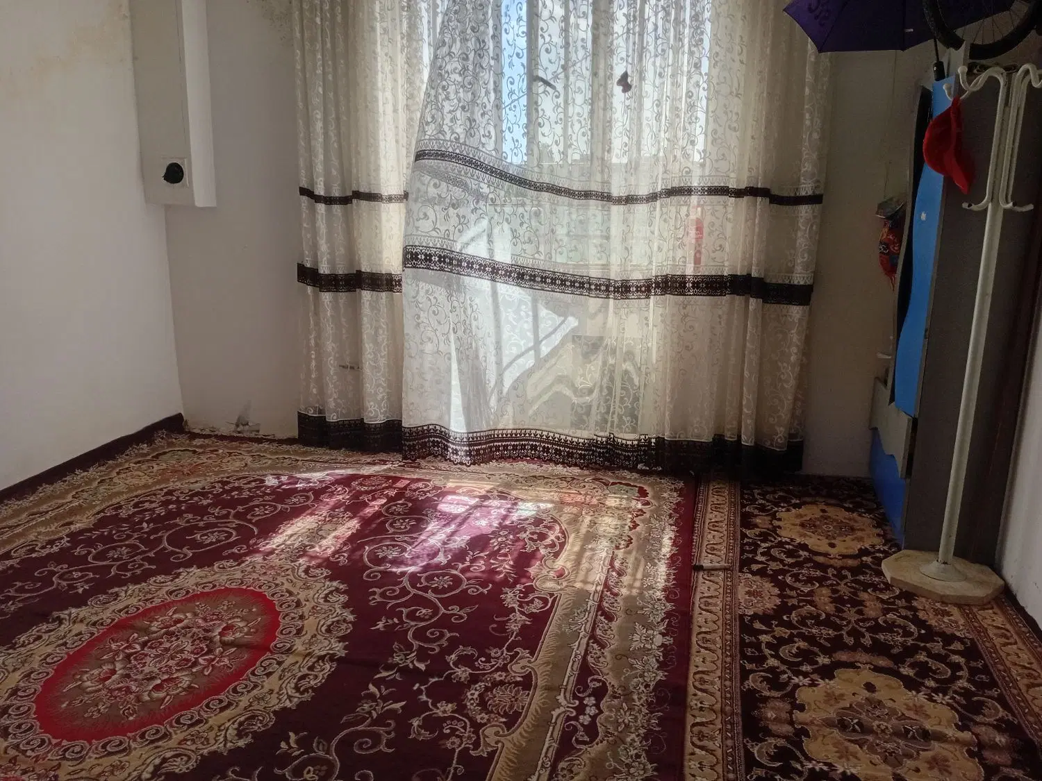 زمین