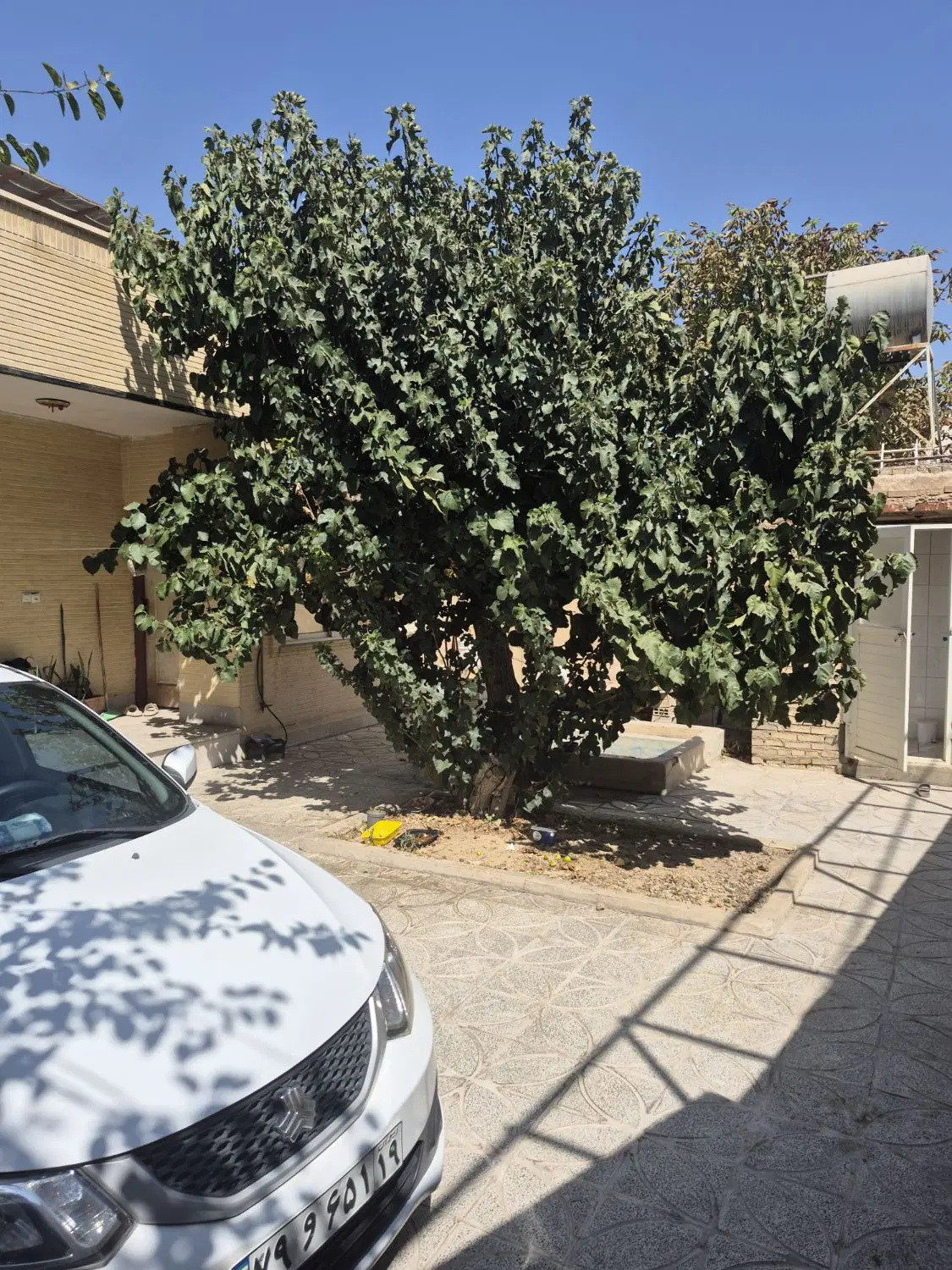 ویلایی