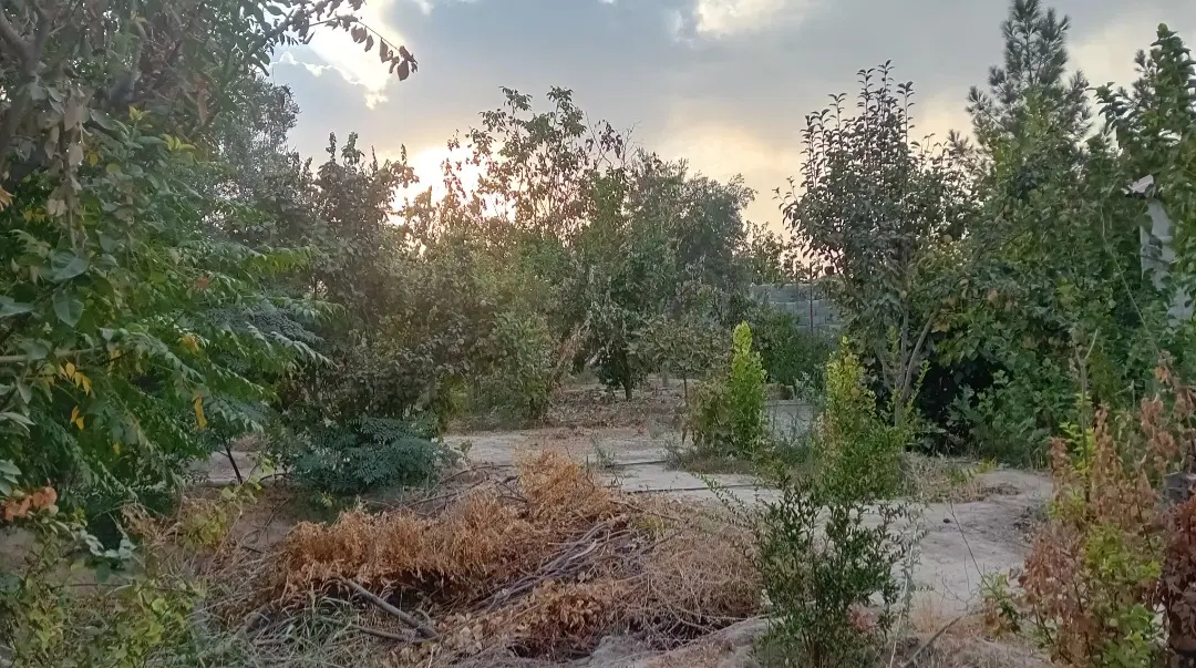 باغ ۵۰۰متری دو نبش سند تک‌برگ فیلستان