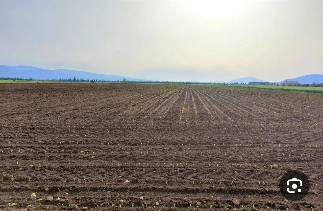 اجاره زمین کشاورزی