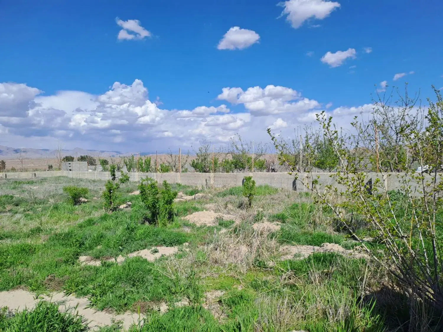 زمین 1100متری حیطه طلا