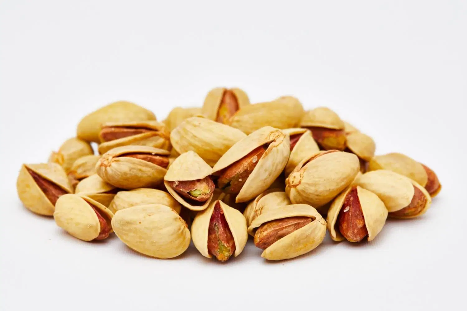 باغ پسته ثمری شیراز