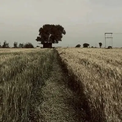 زمین بهارستان