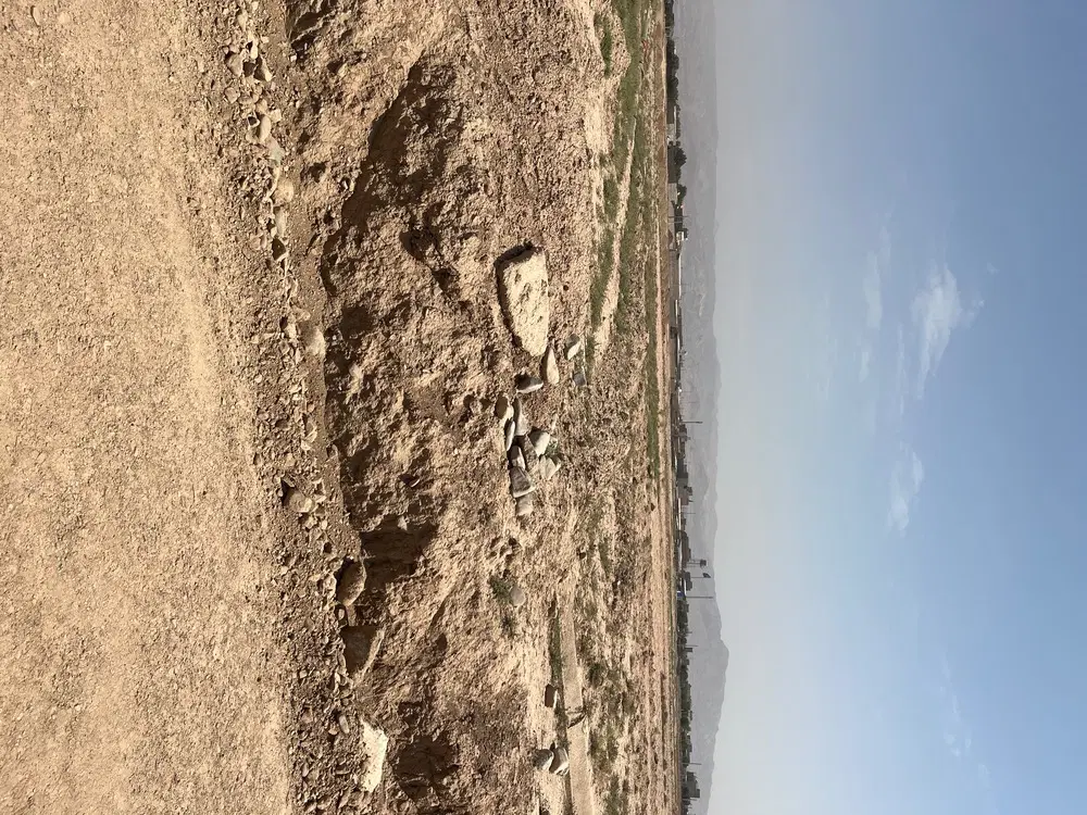 زمین سند دار گلخونه ای