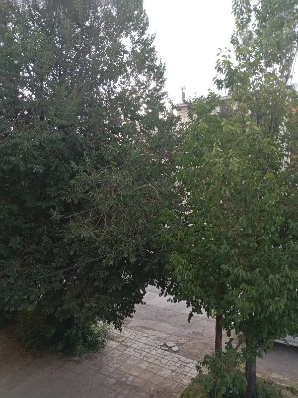 خانه اجاره ایی
