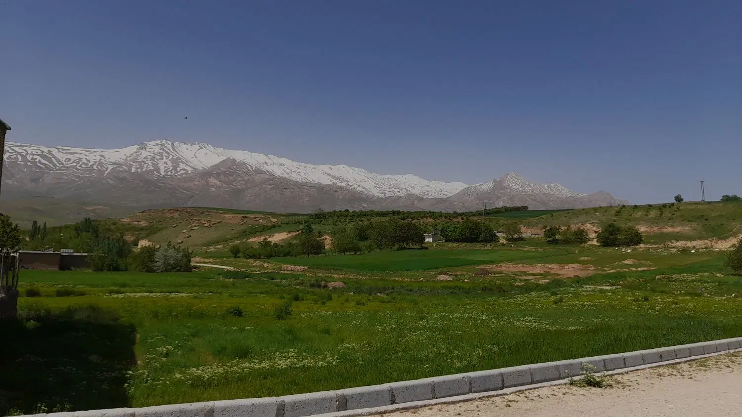زمین مشاع کمربندی پانزده خرداد
