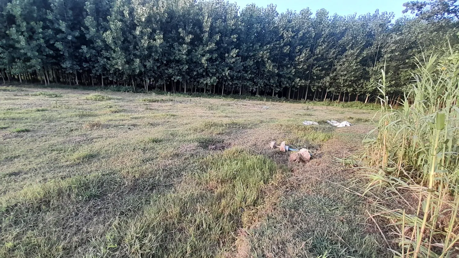حدود۷۰۰ متر زمین